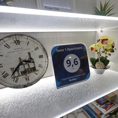 公寓 绍埃1号公寓 *