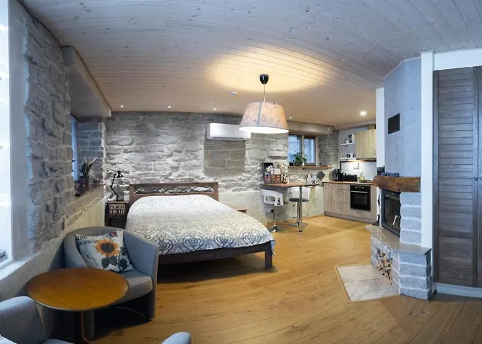 绍埃1号公寓 塔林