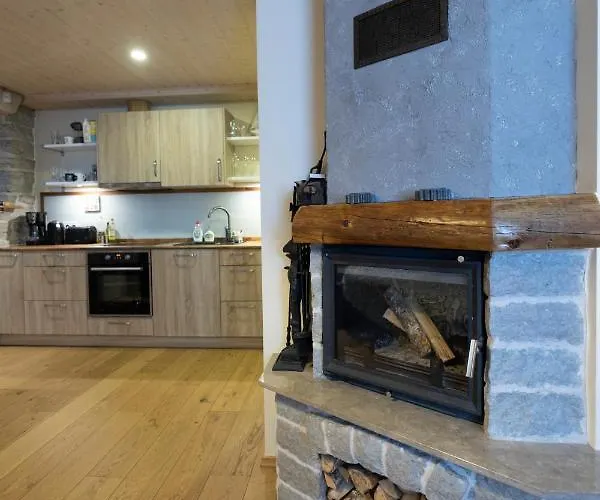 绍埃1号公寓 公寓 塔林