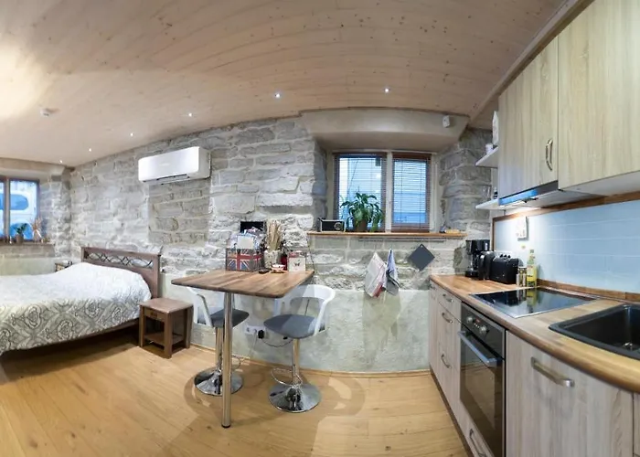 绍埃1号公寓 塔林